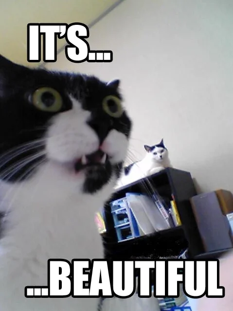 igNeUh3.webp