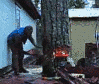 ild9aMQ.gif