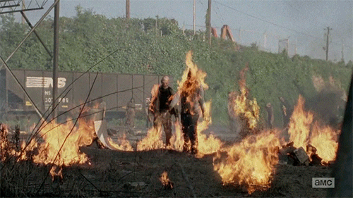 Jr2mN8V.gif