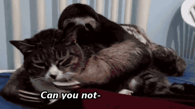 kqlklL2.gif