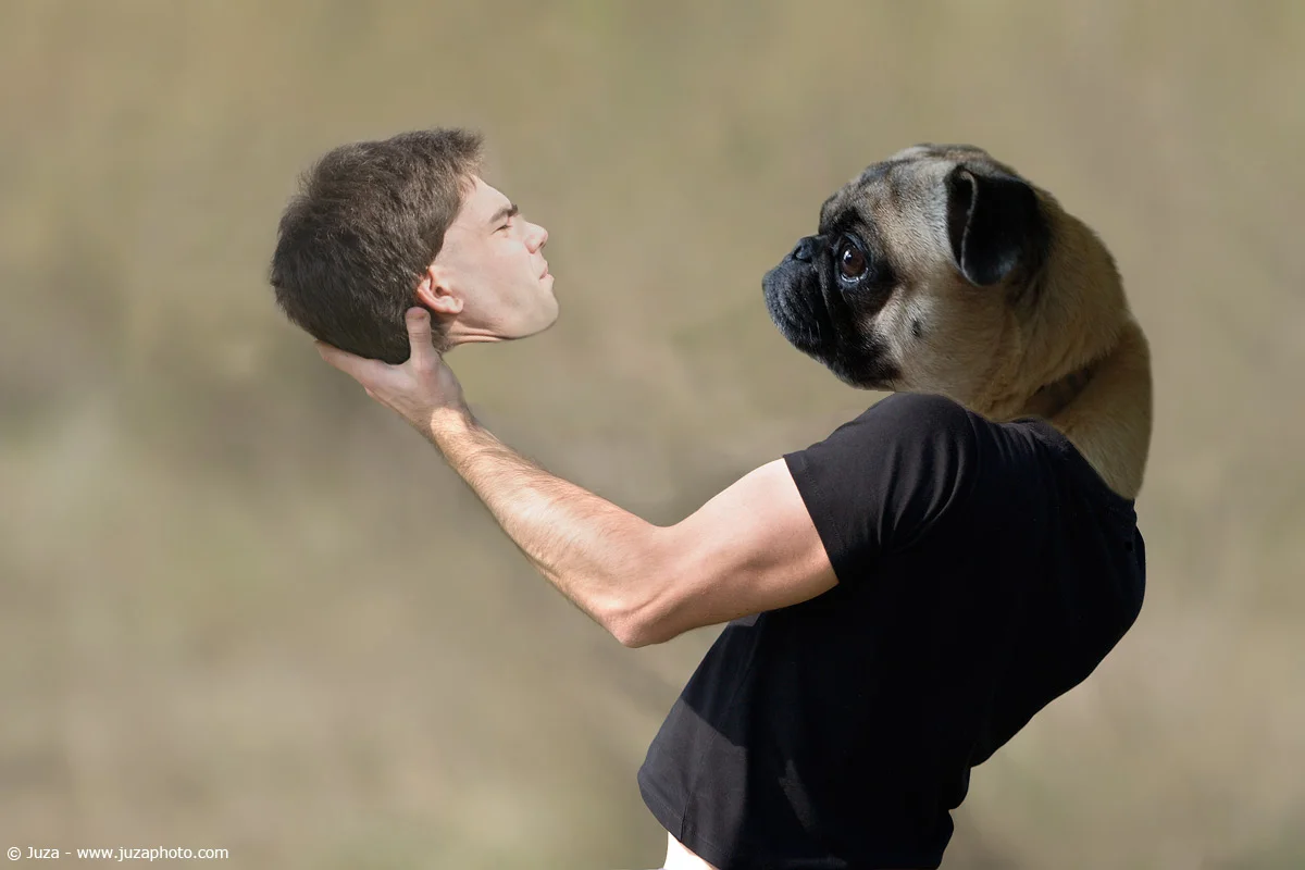 KsKrQ.webp