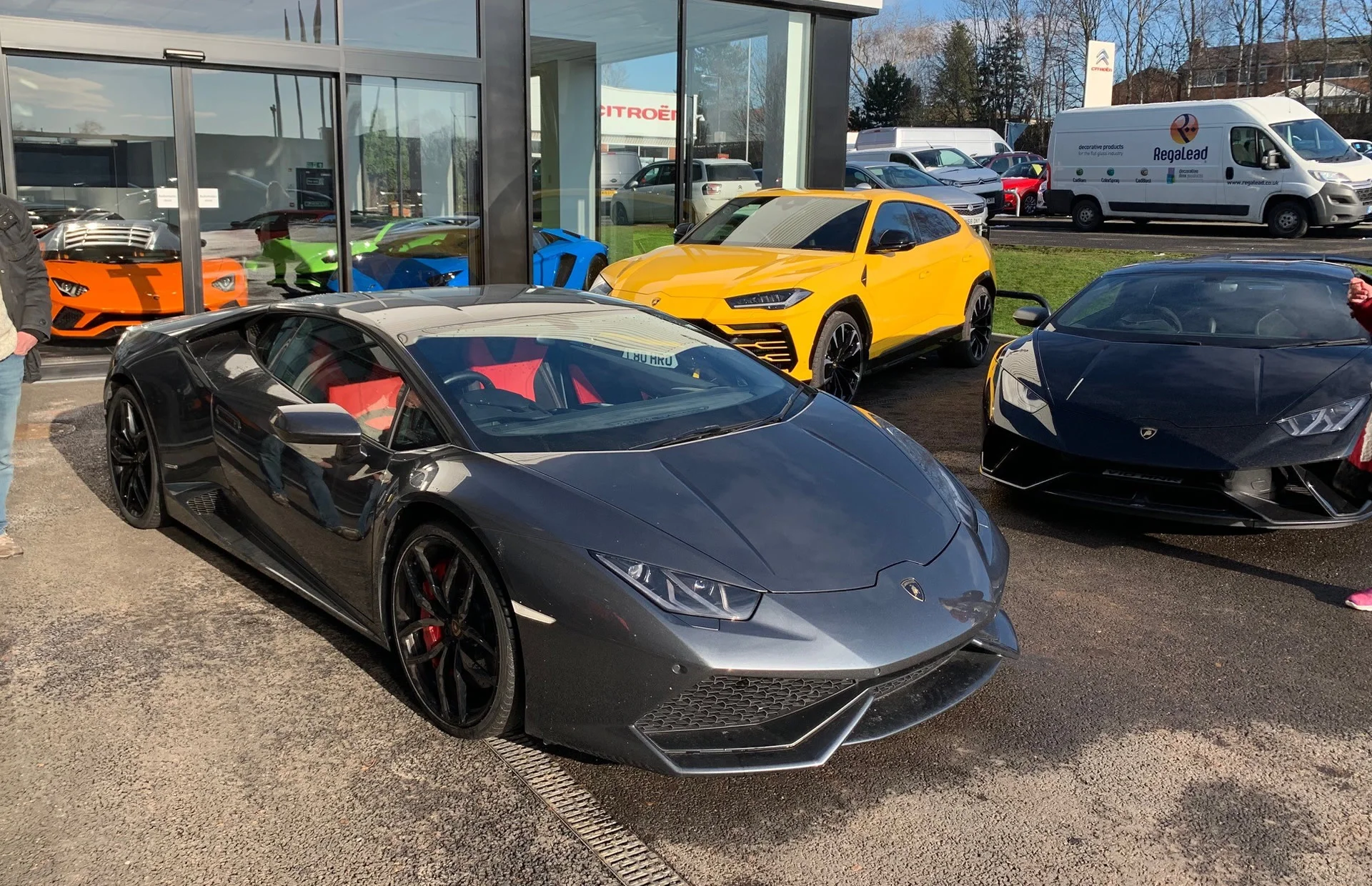 lambo1.webp