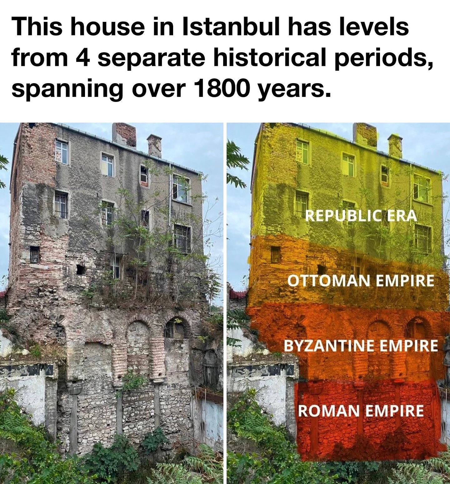 lEoDHaS.jpeg