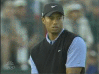 lr8BSkV.gif