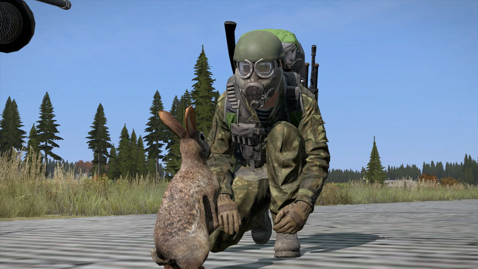 m196uvR.webp