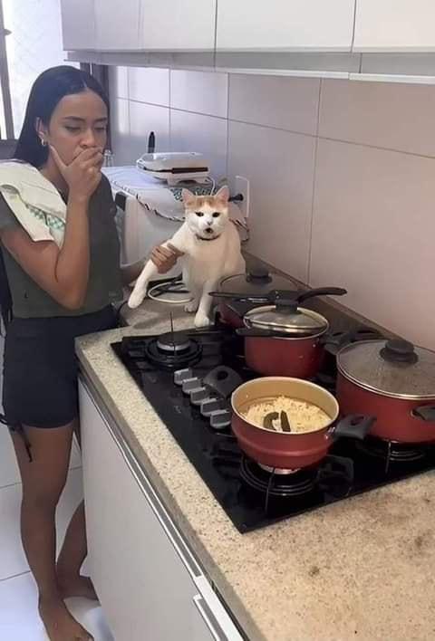 M4lX5aT.jpeg