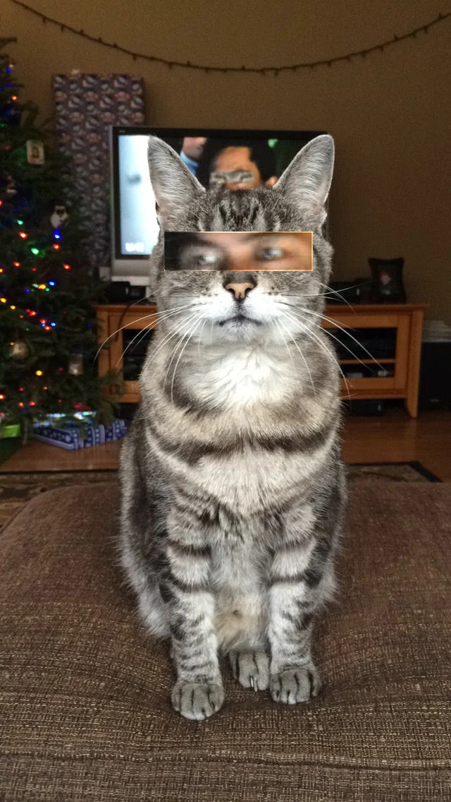 M8uwl8H.webp