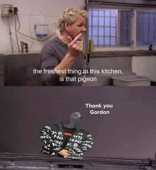 mbpMRgI.jpeg