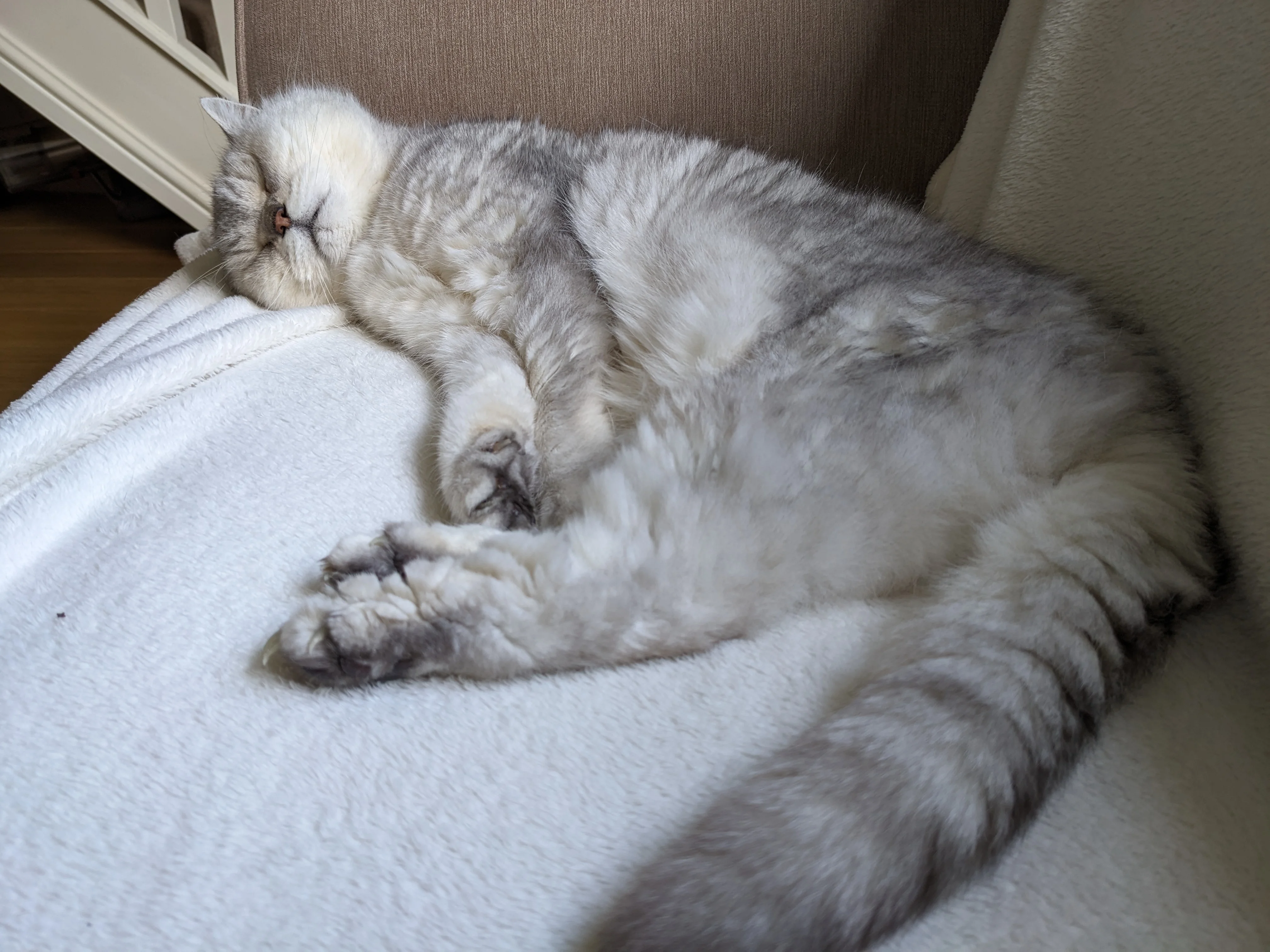 mJ1PRMW.webp