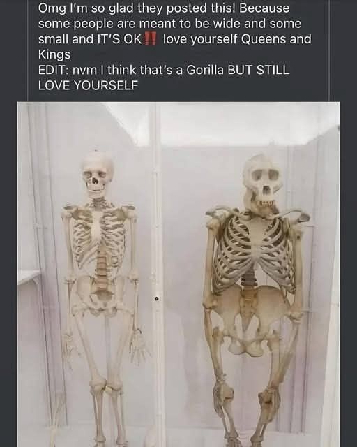 mQp0Y3v.jpeg