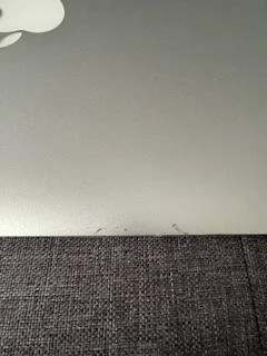 my6ocZo.webp