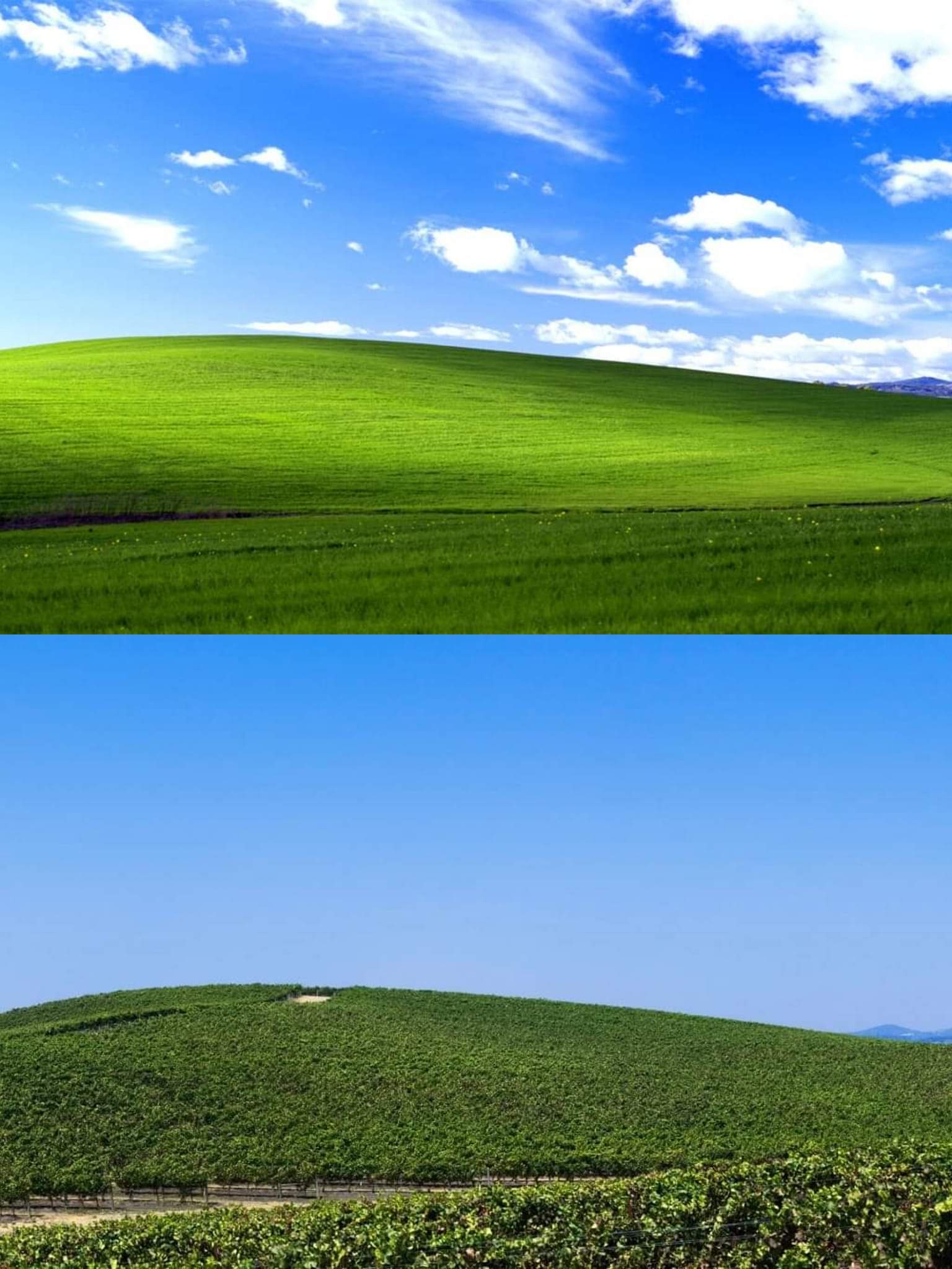 nK02JUA.jpeg
