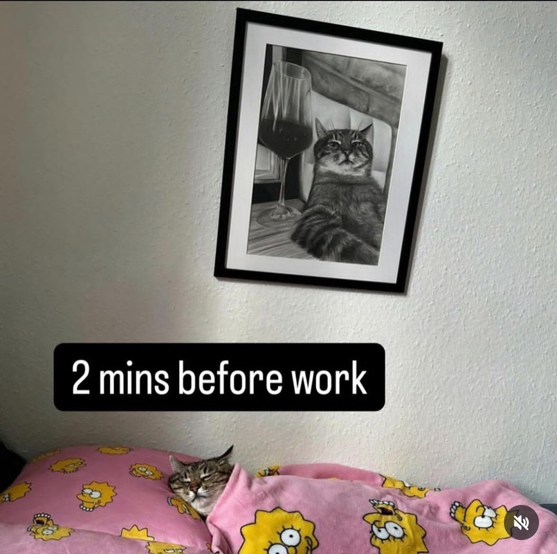 nlWiQD9.jpeg
