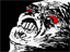 NTPhk.png