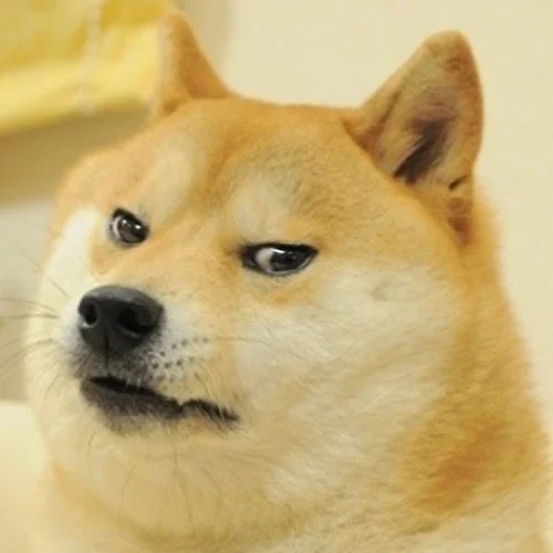 oebQhFD.webp