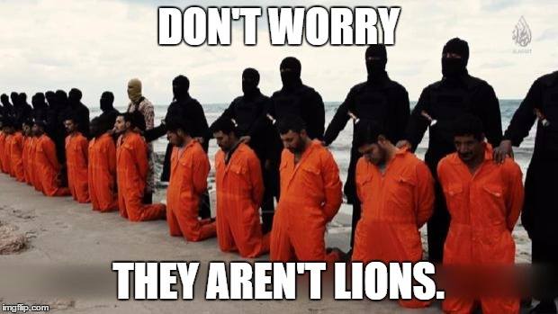 OIqnDQx.jpg