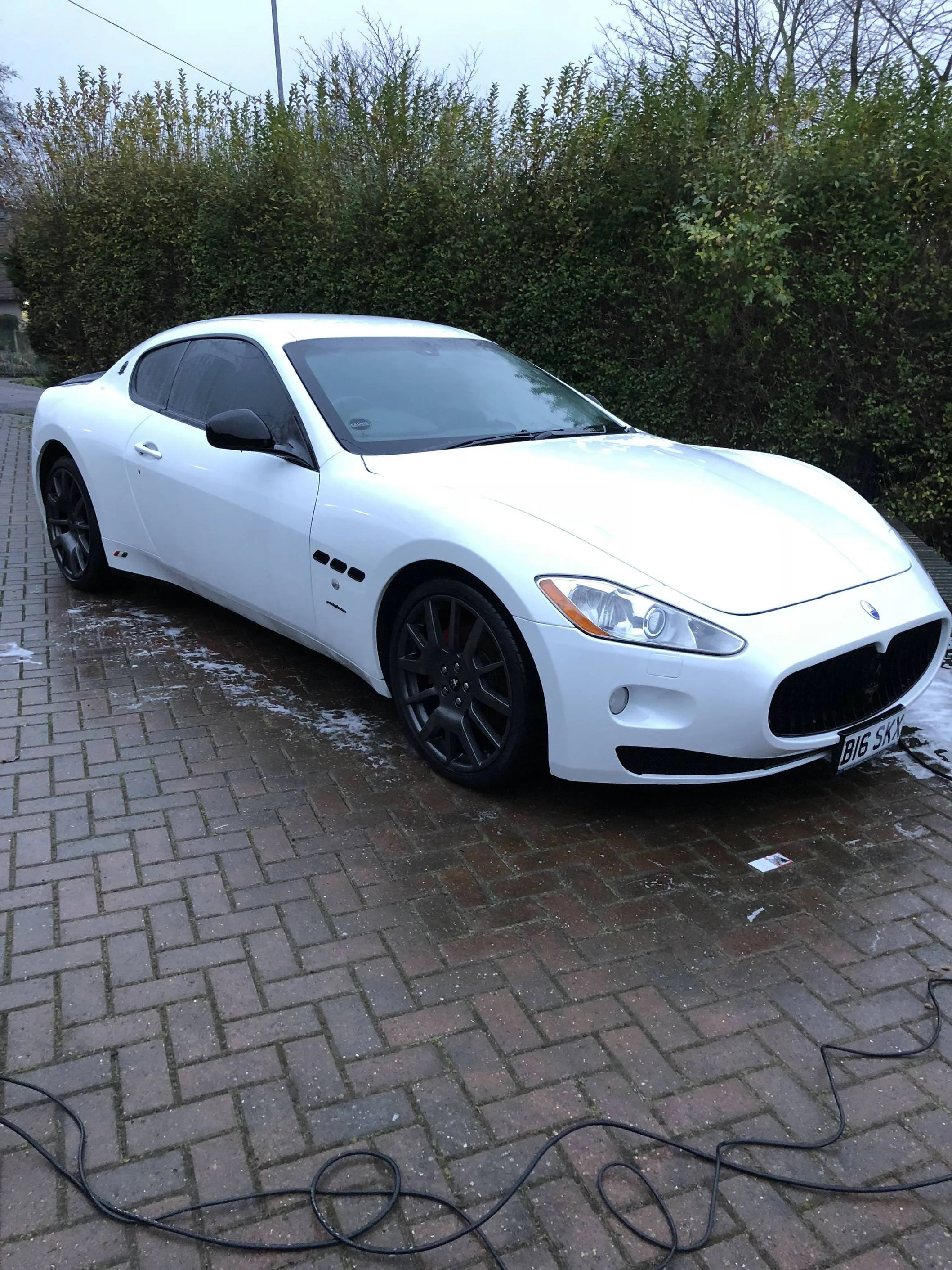 oL7LXO3.webp