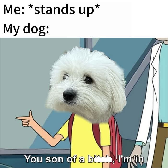 OwVdNtA.jpeg