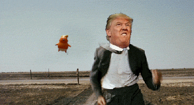 PNrsaNk.gif