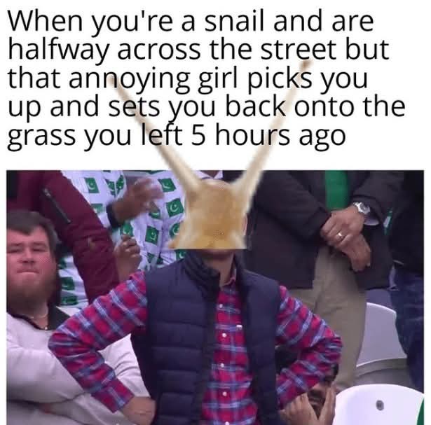 pqDYHSj.jpeg