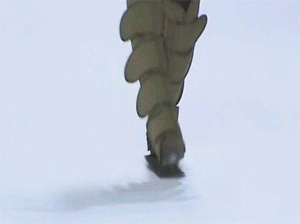 PS1VYTq.gif