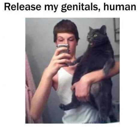 pT0qbNN.webp