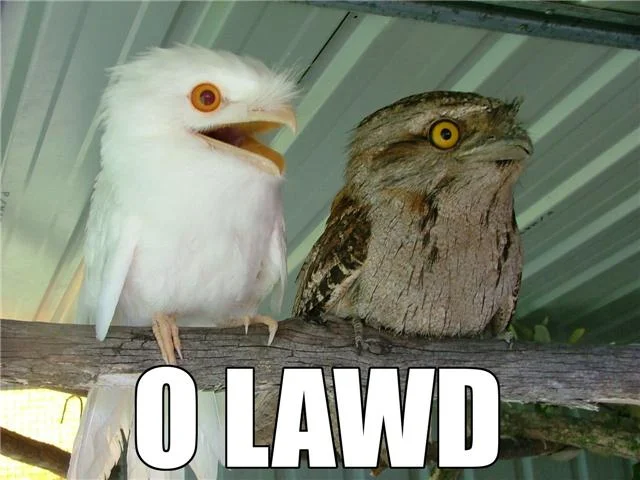 Q0oyf.webp
