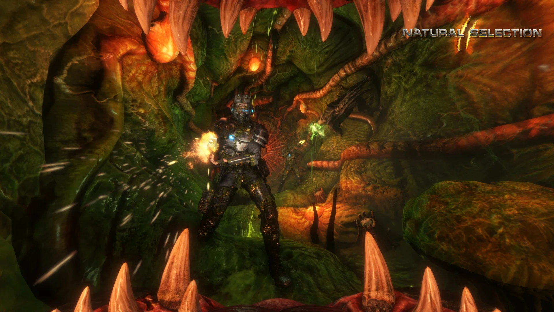 q0xFlgt.webp