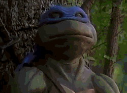 qB03rOf.gif
