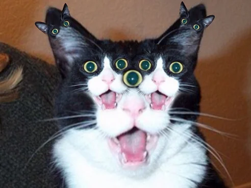qkFCqda.webp
