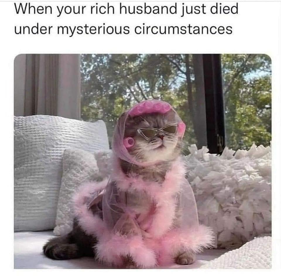 RBhr02o.jpeg