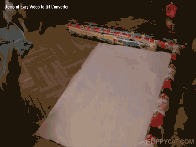 rC3DnmK.gif