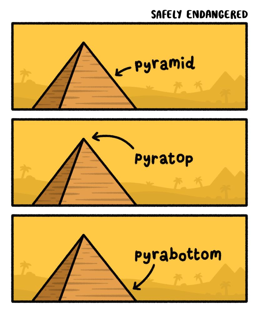 Rg2kXez.jpeg