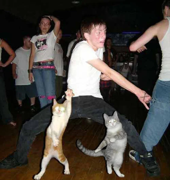 RIXiQDj.webp