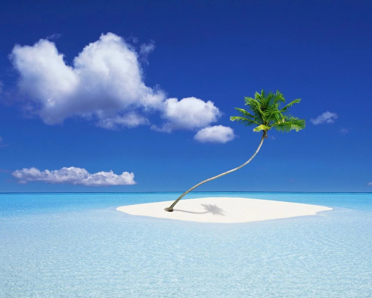 RtWPC4u.webp