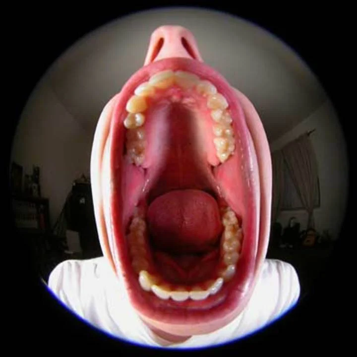SMgLBe8.webp