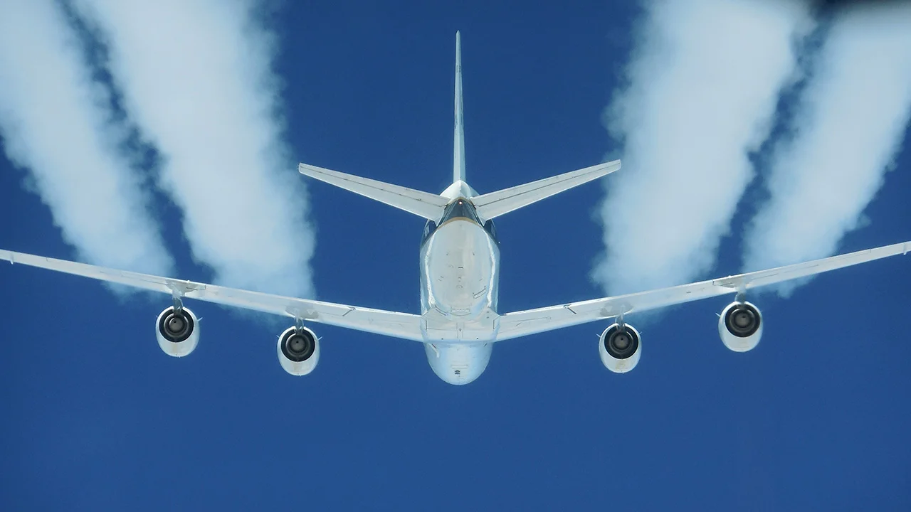 sZM2bz7.webp