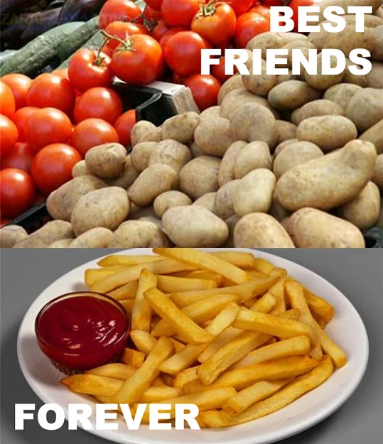 ucilFvY.webp