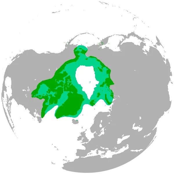 UEdyT56.webp