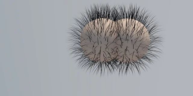 UZm4929l.webp
