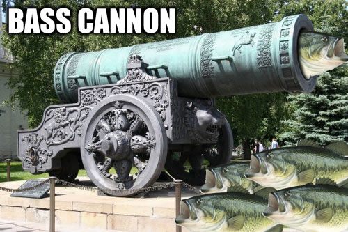 VB4MZPH.jpg