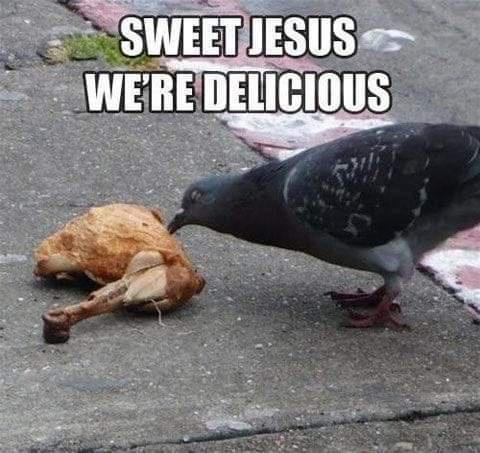 VbKPjWZ.jpg