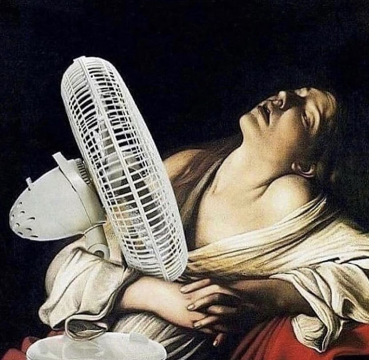 vNcB045.jpeg