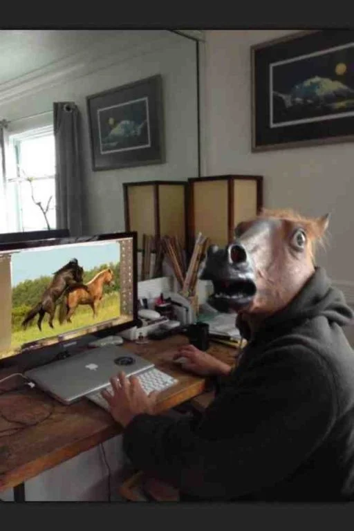 vOIdJdU.webp