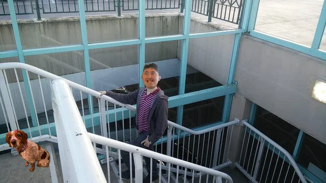 vpmqjgv.webp