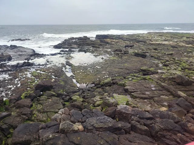 vwaUCUjl.webp