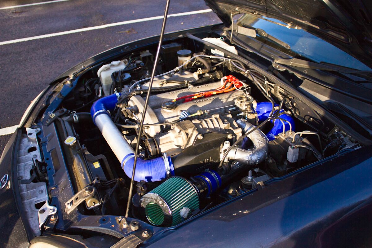 W50T5.jpg