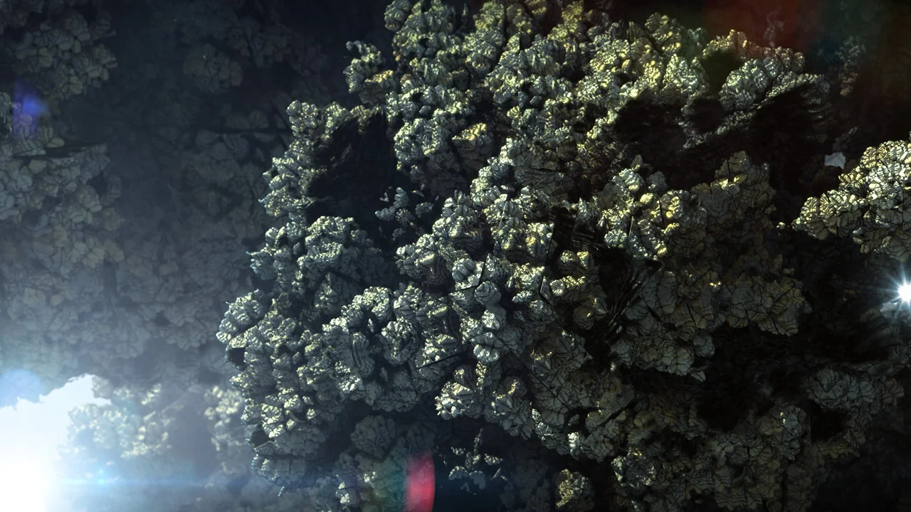 WB1JG0D.webp