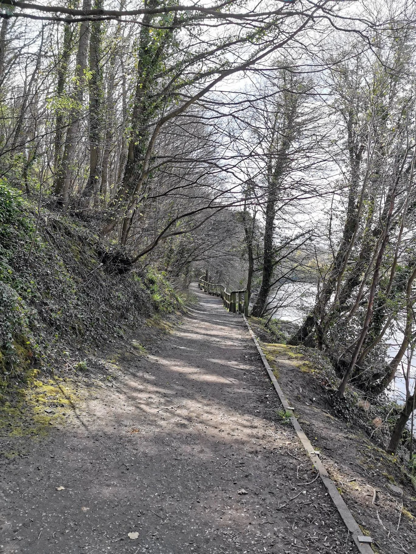 wBCT6e9.webp