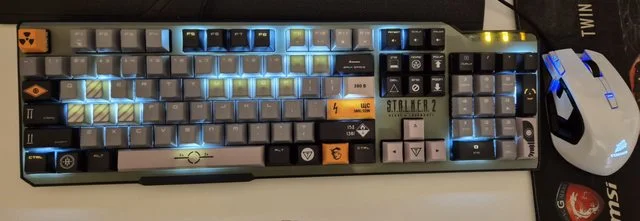 WHM8lFDl.webp
